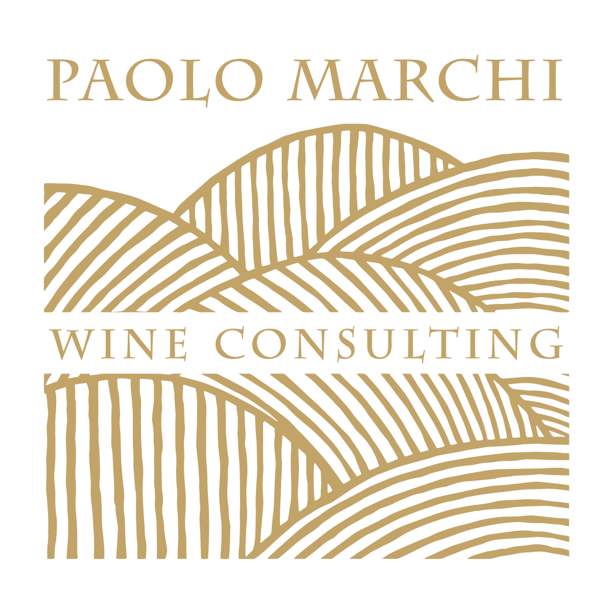 Paolo Marchi Wine Consulting