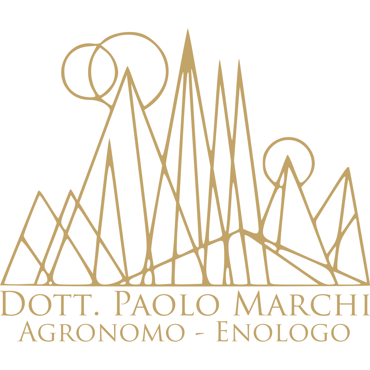 Dott. Paolo Marchi – Agronomo Enologo Logo