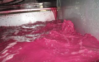 Gestione della fermentazione: mosto in fermentazione con schiuma nel tino