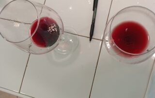 Fermentazione malolattica in un'annata calda: due campioni di vino rosso nuovo in assaggio sul banco